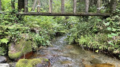 🏞️ 시오가마 냉천 (塩釜の冷泉) 이미지 2